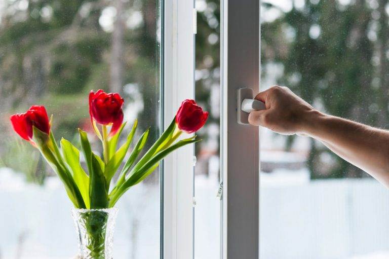 Hand operating white uPVC tilt and turn window handle beside a vase of red tulips – Cristal Windows, Doors & Conservatories