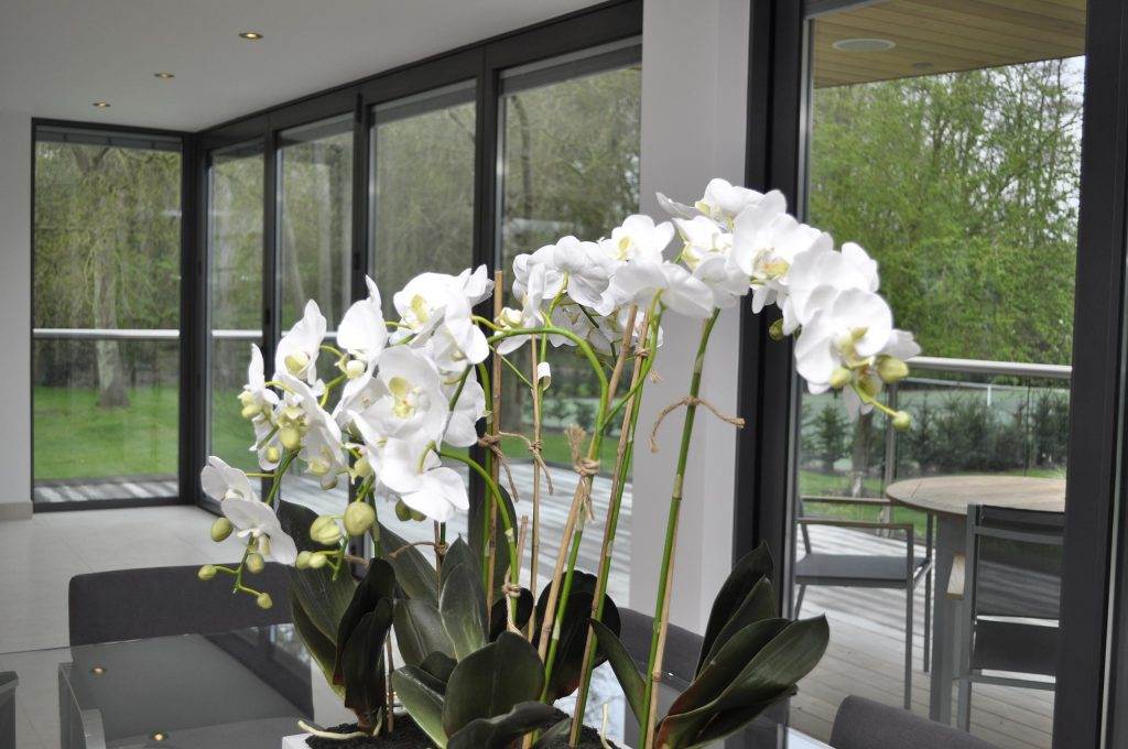 Internal Blinds for Double Glazing - Cristal Windows, Doors & Conservatories